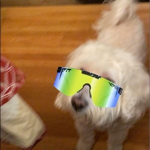 Meet your Posher, Alex